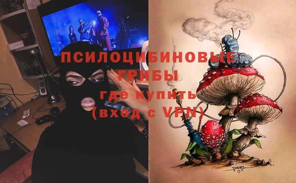 круглые Алзамай