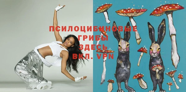apvp Алексин