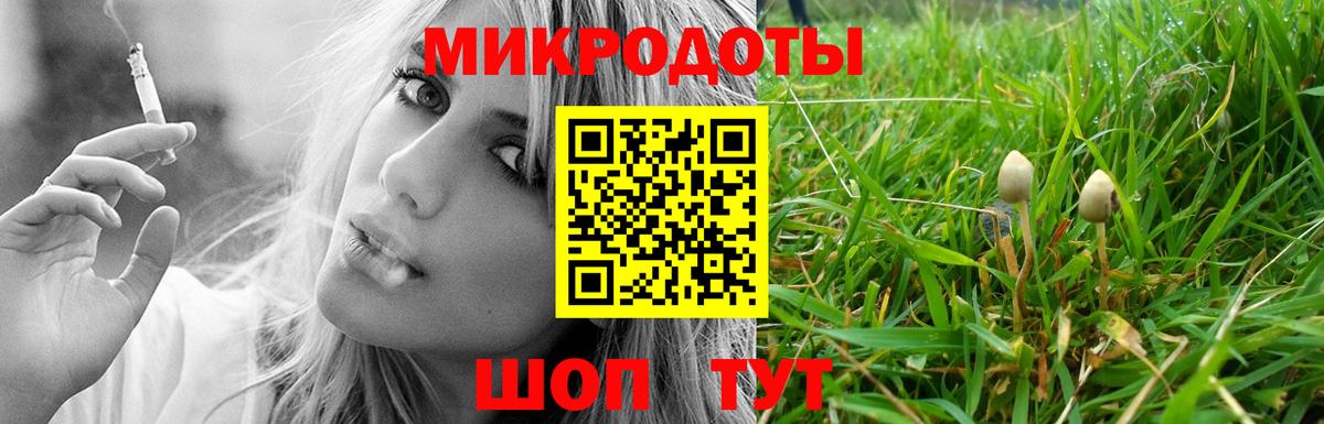 Псилоцибиновые грибы Psilocybine cubensis Севастополь
