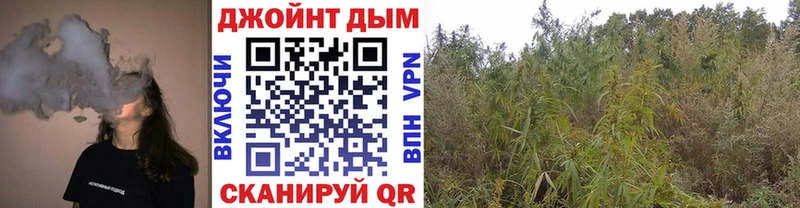 Канабис MAZAR  кракен рабочий сайт  Севастополь 